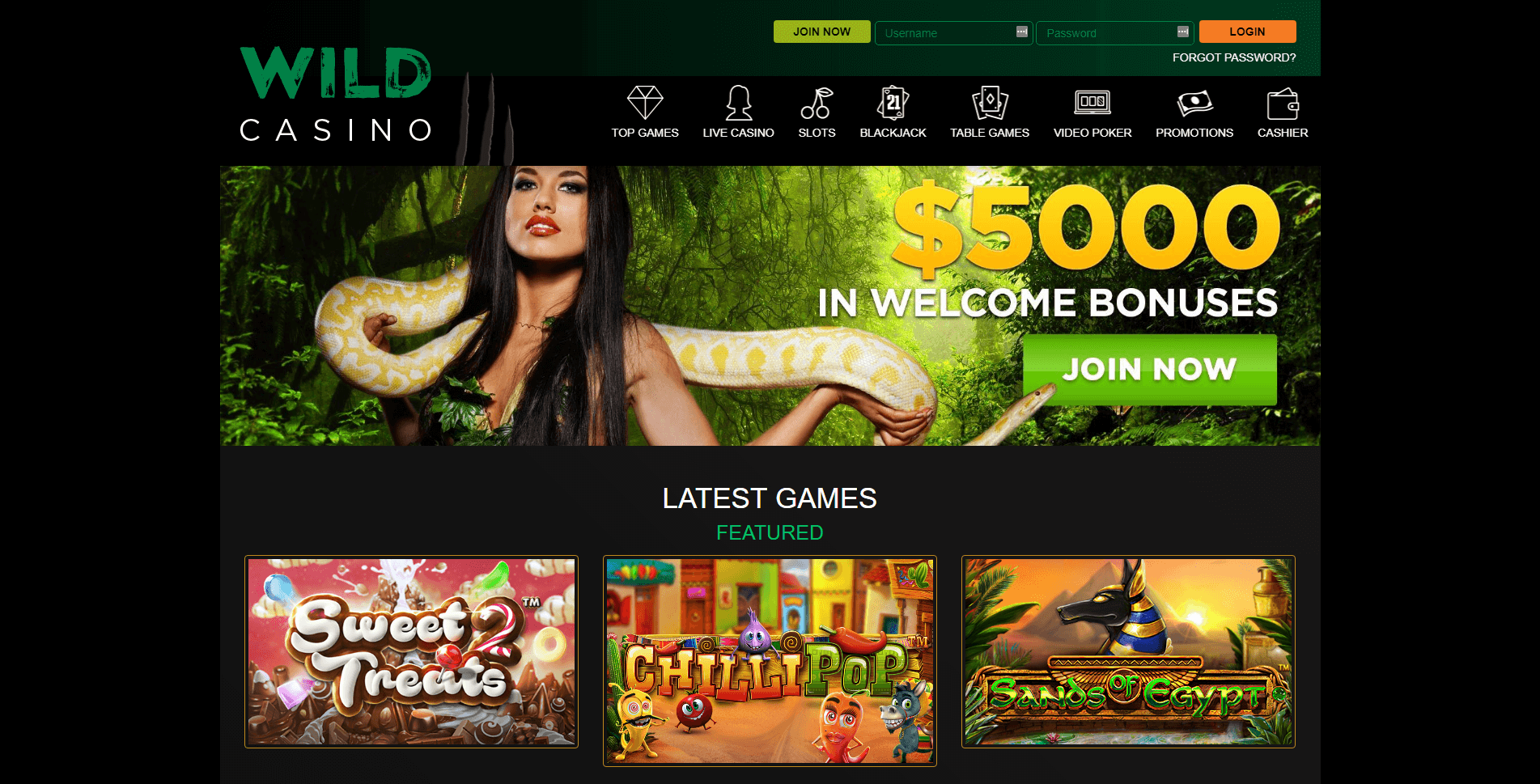 Wild Casino web page