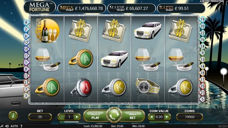 Mega Fortune Slot Game